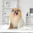 thumbnail image 4 of unbranded 5 Pares Gafas Retro Para Mascotas Accesorios Para Perros Y Multicolor Y Cómodo, 4 of 6