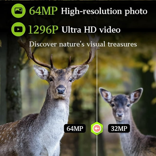 BlazeVideo Hunting Trail Camera BV252GRAY 64MP 1296P Night Vision Motion Activated 1-Pack