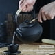 thumbnail image 5 of Muyoka Tetera de hierro fundido, estilo japonés Tetsubin Tetera Tetera de hierro Juego de clavos negros para té suelto y bolsitas de té Té de hierro resistente a la corrosión Muyoka Hogar, 5 of 7