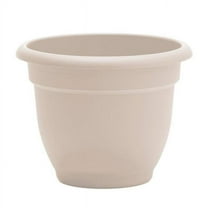 Bloem 7037209 10.25 x 13 x 12 in. Ariana Plastic Traditional Planter, Cream