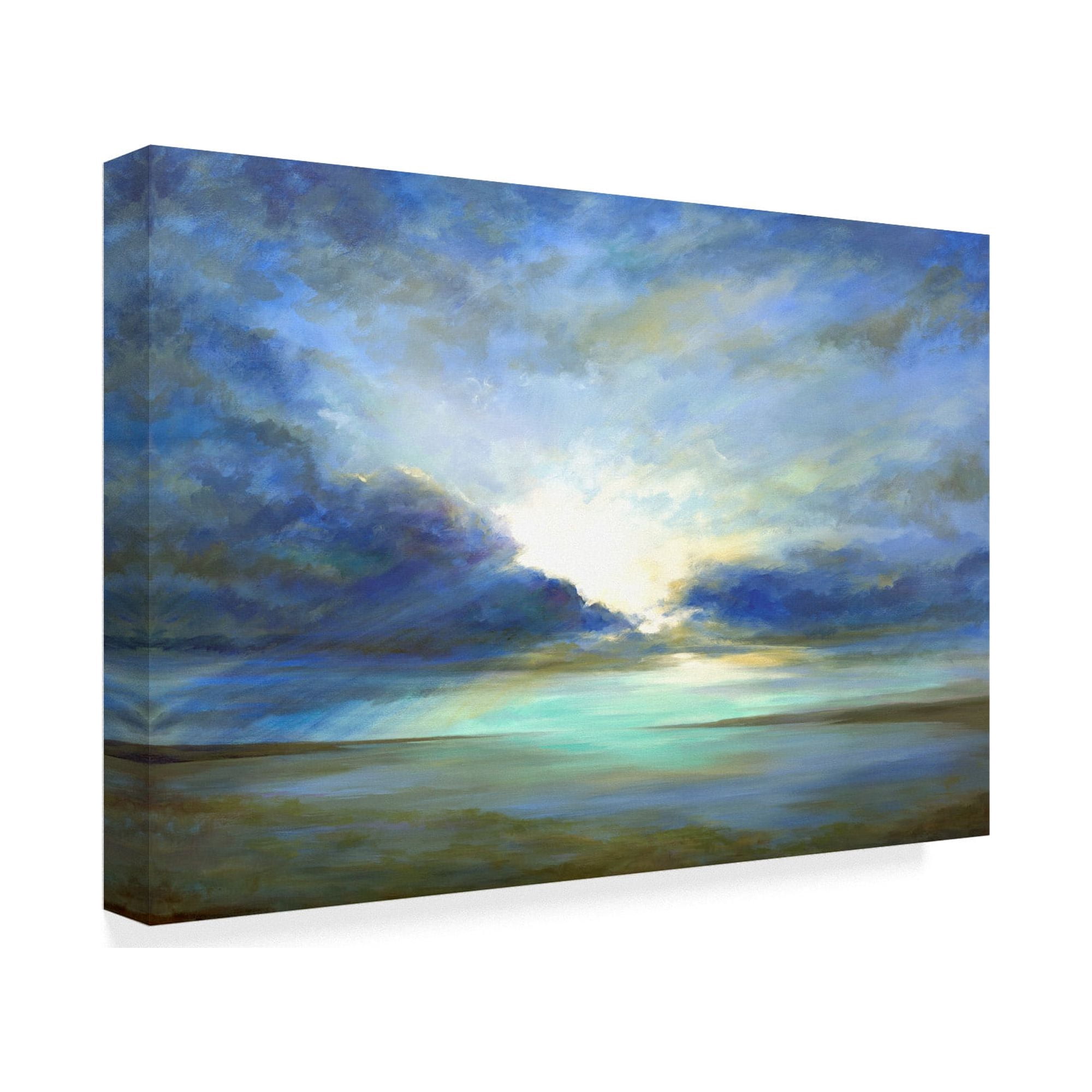 Trademark Fine Art 'Sky Light' Canvas Art by Sheila Finch