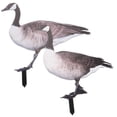 thumbnail image 3 of Leurre Canard Multi 2 Pcs 9.6x0.2x12.6 Po, 3 of 6