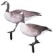 thumbnail image 3 of 2pcs Garden Duck Stakes Garden Decoración de patos Decoración de pato acrílico Decoración de jardín, 3 of 4