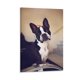 thumbnail image 1 of Boston Terrier Cuadro decorativo colgante - Arte de pared - Póster enmarcado - Decoración de pared - Regalos para familia, amigos y aficionados 40*60 cm, 1 of 6