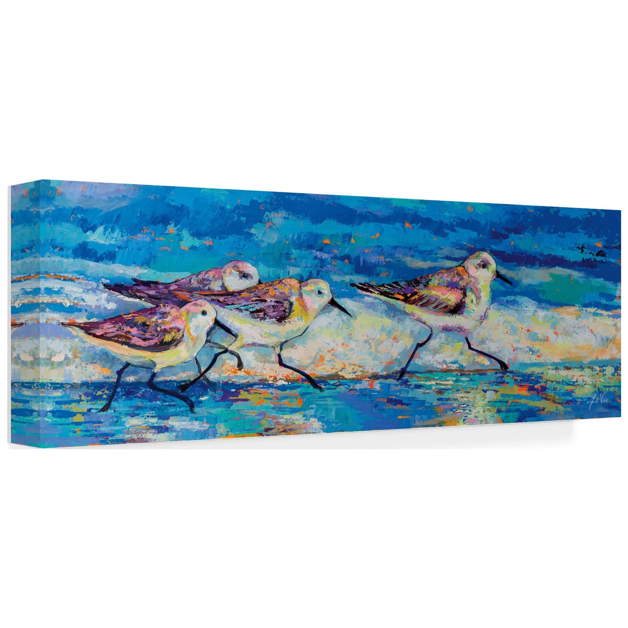 Jeanette Vertentes 'Racing Plovers' Canvas Art