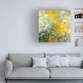 thumbnail image 2 of Trademark Fine Art Pictufy  The Path through the Irises Canvas Wall Art, 2 of 4