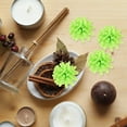thumbnail image 4 of 100 Pcs Diffuseur de Fleurs Diffuseur d'Huiles Essentielles Diffuseur Passif pour Maison Bureau, 4 of 8
