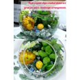 thumbnail image 3 of Set de piedras preciosas YATOJUZI, cristal curativo de aventurina verde, 200 g, 3 of 7