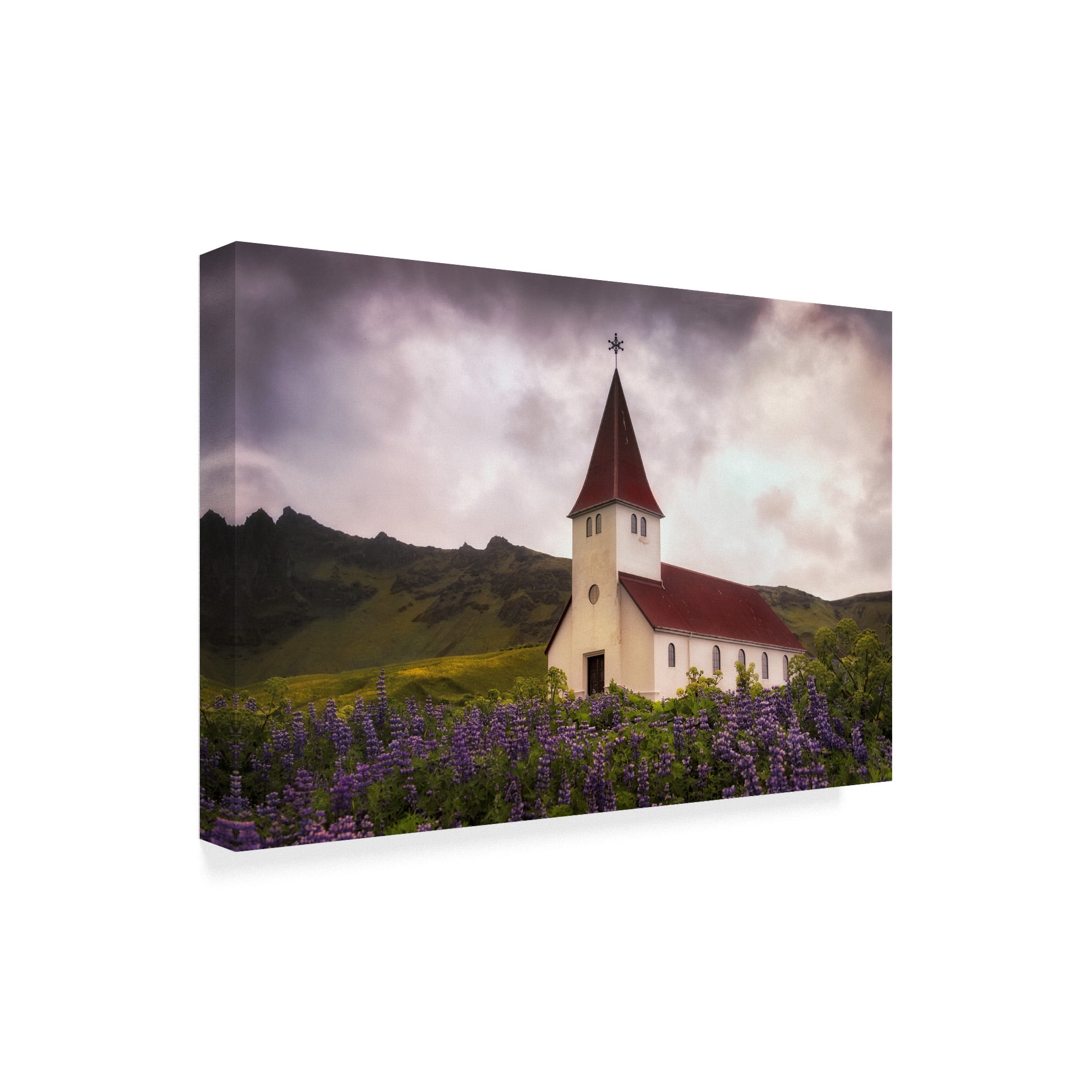 Trademark Fine Art 'White Church' Canvas Art by Danny Head