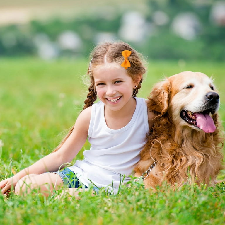 Hair bows for golden on sale retrievers