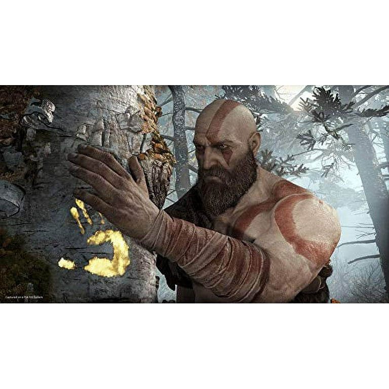 Free Shipping! Sony God of War PlayStation 4 Game, Norse