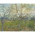 thumbnail image 2 of van Gogh, Vincent 18x15 White Modern Wood Framed Museum Art Print Titled - Orchard with Blooming Apricot Trees, 2 of 4