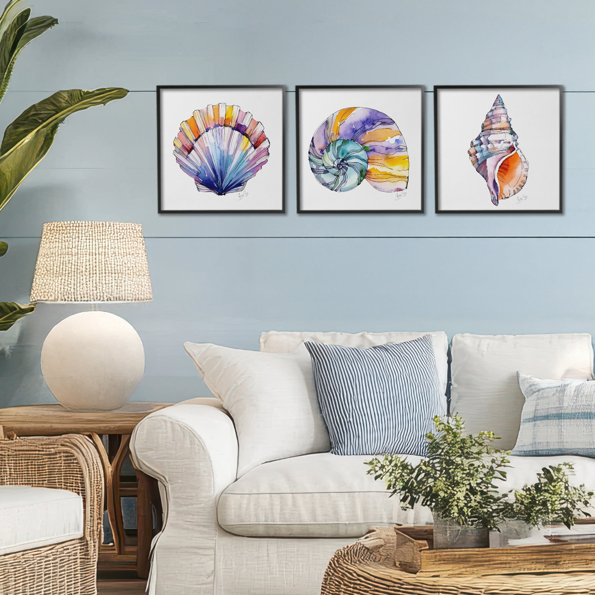 Stupell Industries Sunlit Seashells Watercolors 3 Piece Black Framed Giclee Art Set, design by Shelly Craig