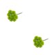 thumbnail image 3 of Wosthever 10 piezas Life To Home con flores de plástico Taraxacum simuladas y decoración del hogar embellece la vida verde 2Conjunto, 3 of 6
