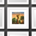 thumbnail image 3 of Gallery Pops Lantern Press - Kings Canyon National Park California Wall Art, White Framed Version, 12" x 12", 3 of 3