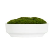 Better Homes & Gardens 8 Faux Moss in Ceramic Bowl