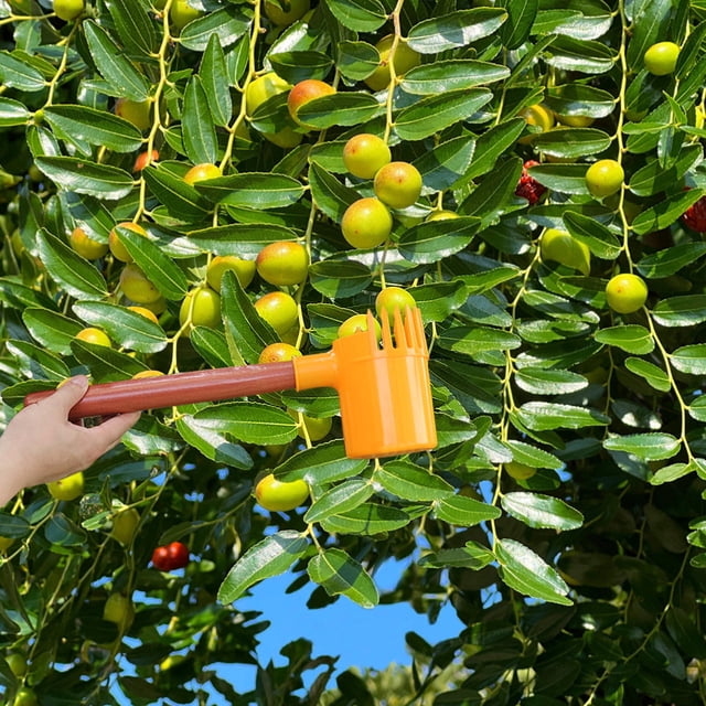 unbranded Herramienta De Para Jardín Con Cabezal De Garra Para Y Portátil