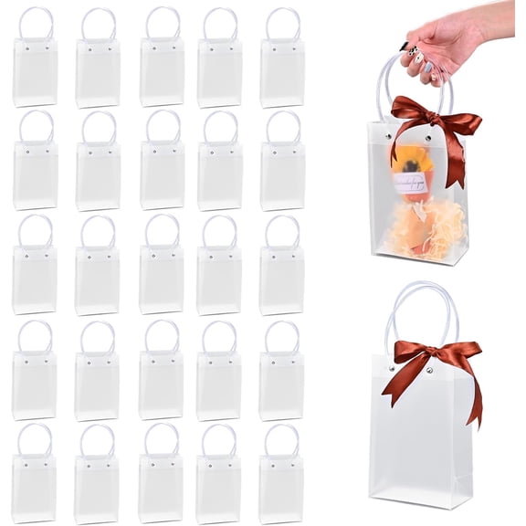 24 Pcs Clear Gift Bags With Handles Frosting Plastic Goodie Bags With Champagne Ribbon Small Gift Bag PVC Favor Bags Valentines Wedding Birthday Party (7.8"*5.1"*2.8") 1 Count (Pack of 24)