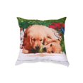 thumbnail image 1 of Polyester Digital Print Cushion (Dogs Chewing Ball) (18 X 18) - Set of 2, 1 of 2