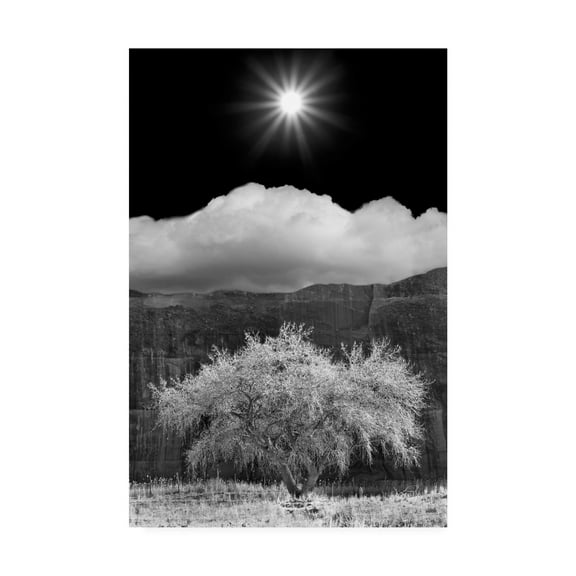 Trademark Fine Art 'Cottonwood And Sunbeams Canyon De Chelly Arizona' Canvas Art by Monte Nagler