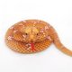 thumbnail image 3 of Juguete de peluche de pitón simulado para niños, muñeco de Anaconda realista, Animal de peluche suave, almohada de serpiente, regalos de cumpleaños, decoración del hogar, 190-280cm, 3 of 4