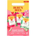 thumbnail image 1 of Set de mascarillas faciales Burt's Bees Hydrating Watermelon, 3 unidades, 1 of 7