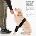 thumbnail image 5 of BaoGuai Knee Brace for Dogs ACL with Side Stabilizers,Knee Cap Dislocation, Arthritis - Keeps The Joint Warm and Stable - Extra Support - Reduces Pain and Inflammation - 7Sizes (M), 5 of 7