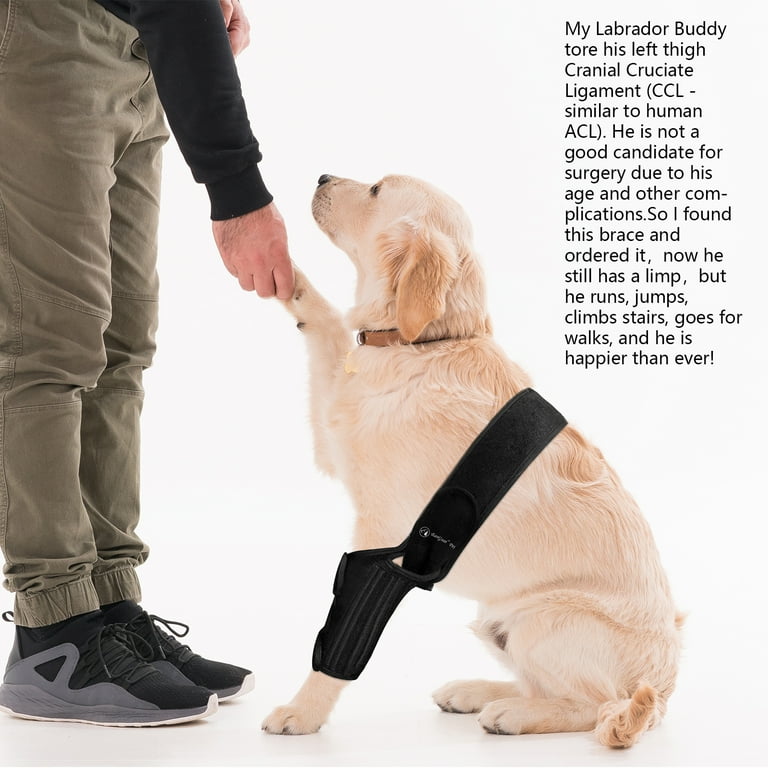 Cranial cruciate ligament brace sales