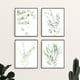 thumbnail image 5 of Láminas de arte de pared con plantas botánicas: juego de 4 láminas decorativas de pared con plantas, flores, hojas, arte de pared bohemio, hojas de eucalipto (sin marco) (20 x 25 cm), 5 of 5