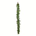 thumbnail image 1 of Vickerman FG191212 Guirlande Lamb Ear 6 Pi., 1 of 1