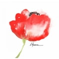 thumbnail image 2 of May 15x15 White Modern Wood Framed Museum Art Print Titled - Little Red Amapola, 2 of 4