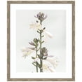 thumbnail image 4 of Kate and Laurel Framed Wall Art Print 'Hosta' by Alicia Abla, 22 x 26, Mila Dark Silver Frame, Modern Contemporary, Flower Art for Wall Decor, 4 of 8