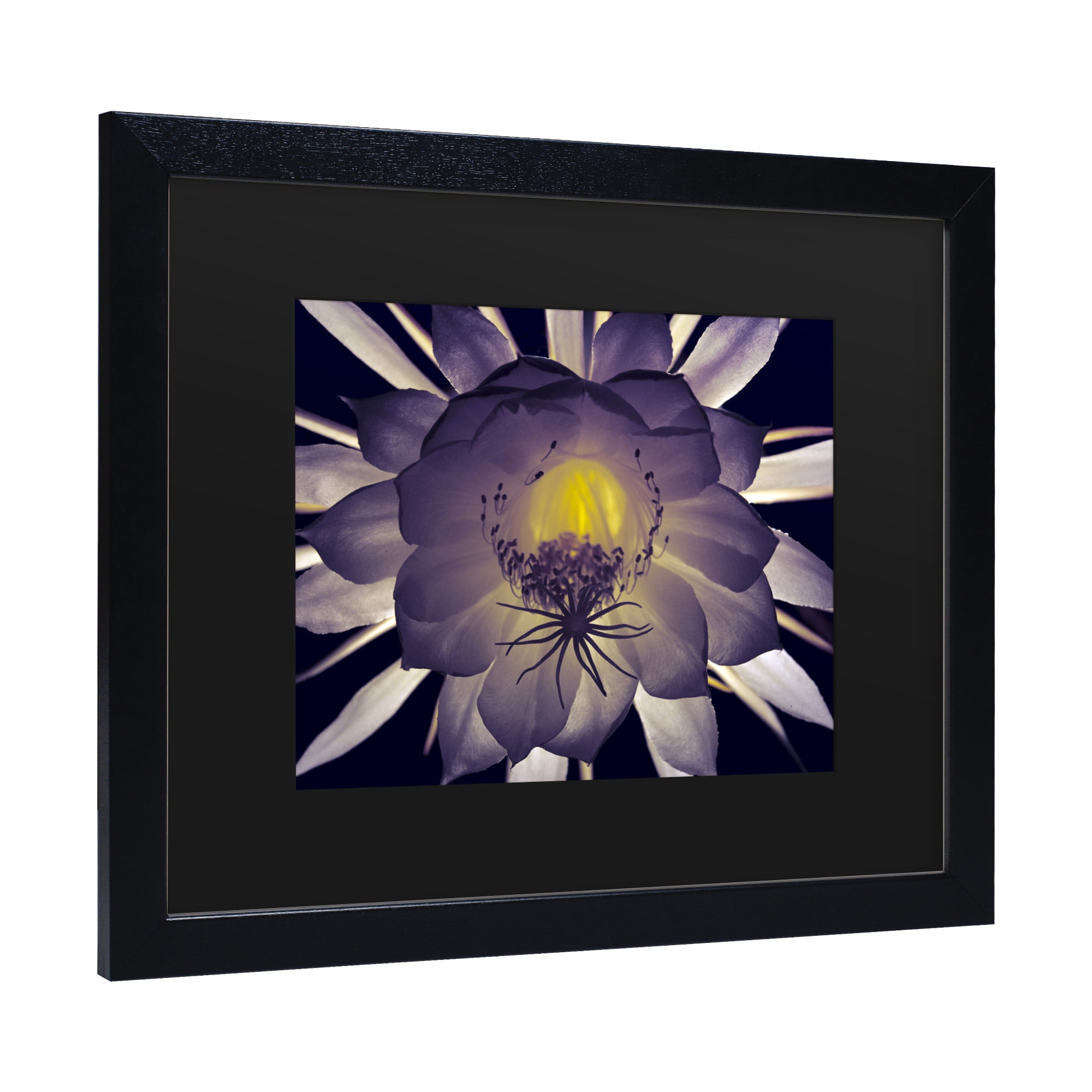 Trademark Fine Art 'Night Angel' Canvas Art by Kurt Shaffer