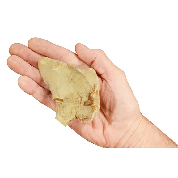 Kidz Rocks Green Picture Jasper 4" 8-12 oz Raw Chakra Healing Crystal Rock Mineral Specimen