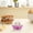 🔥 Pink_New#2571, variant on Egg Cooker Single Layer Multifunctional Steamer | Large Capacity 7 Eggs | Food Heating | Rice Soup Corn Milk Warmer | 350W 110V | 15x15x15cm | Kitchen Appliance