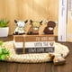 thumbnail image 5 of Bandeja escalonada decorativa para libros de madera de vaca de Whaline Highland, 5 of 7