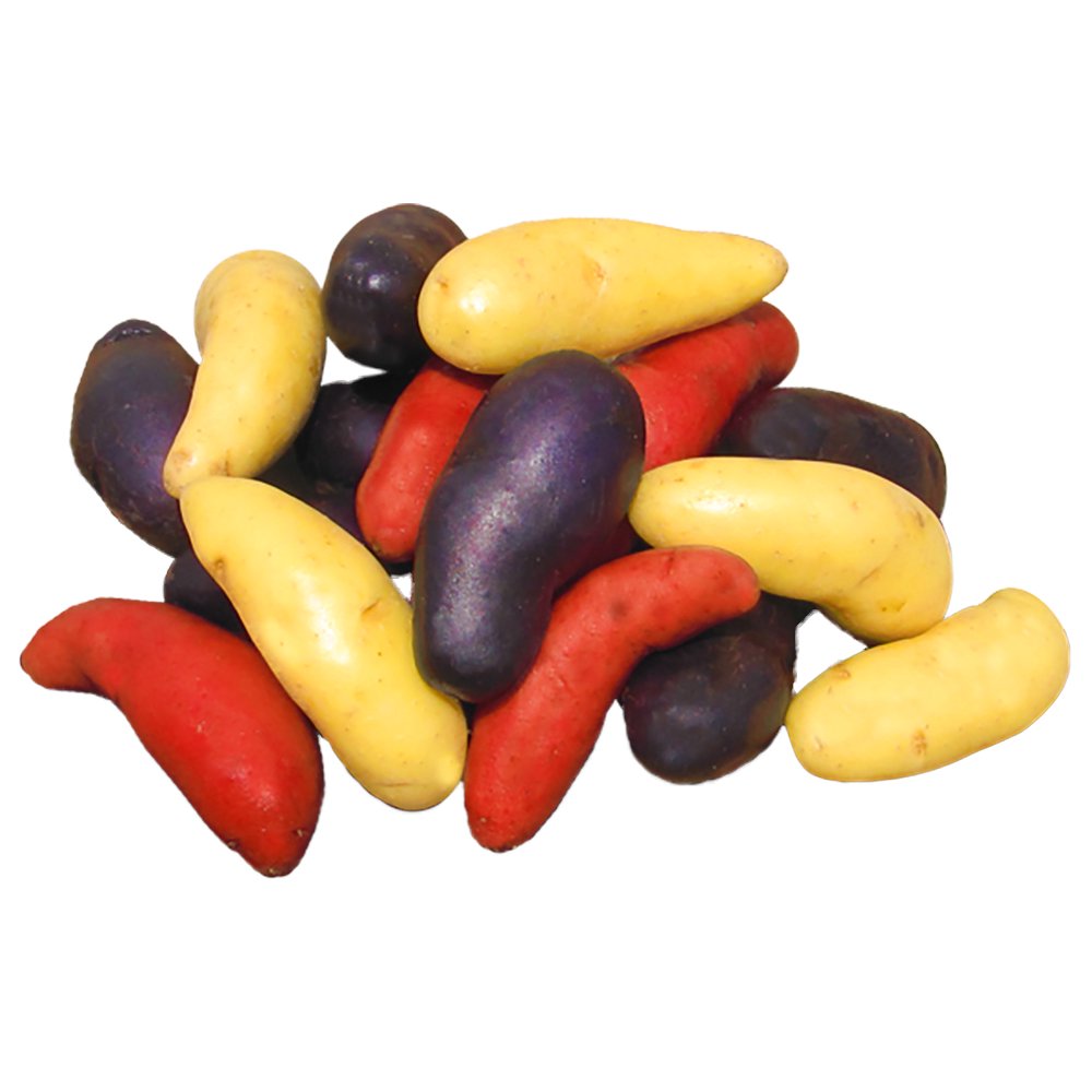 Fingerling Potato Mixture Organic 5 lb. Bag Tubers New Walmart