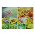 thumbnail image 2 of Country Cutting Board, Flourishing Spring Collage with Grapes Trees and Sunflowers Seasonal Countryside, Decorative Tempered Glass Cutting and Serving Board, Large Size, Multicolor, by Ambesonne, 2 of 5