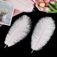 thumbnail image 3 of Craft Feathers THARAHT Avestruz, 24 unidades, 25-30 cm, color blanco, 3 of 7
