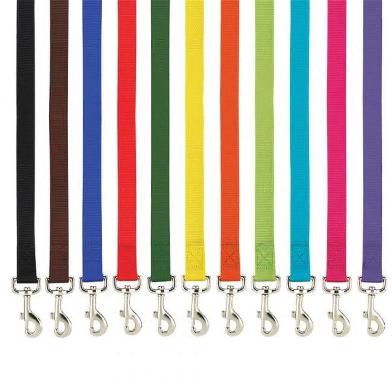 Casual Canine ZM2392 66 31 6 ft. x 1 in. Basic Nylon Dog Leash Lead, Brown