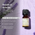thumbnail image 2 of AROMAFUME Patchouli Essential Oil - 100% Natural Essential Oils, 2 of 8