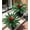 Red-no Pot, variant on General Fake Plants, 2 Pcs 21.7 Inch Bromeliads Large Artificial Plants Outdoor Faux Plants UV Resistant Realistic Tropical Greenery Outside for Planter Porch Patio Yard Garden Indoor