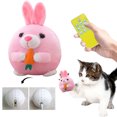 thumbnail image 1 of Pelotas Que Rebotan para Pelota Juguete Peluche en Activo Cerdo Dibujos Animados Lavable, 1 of 9
