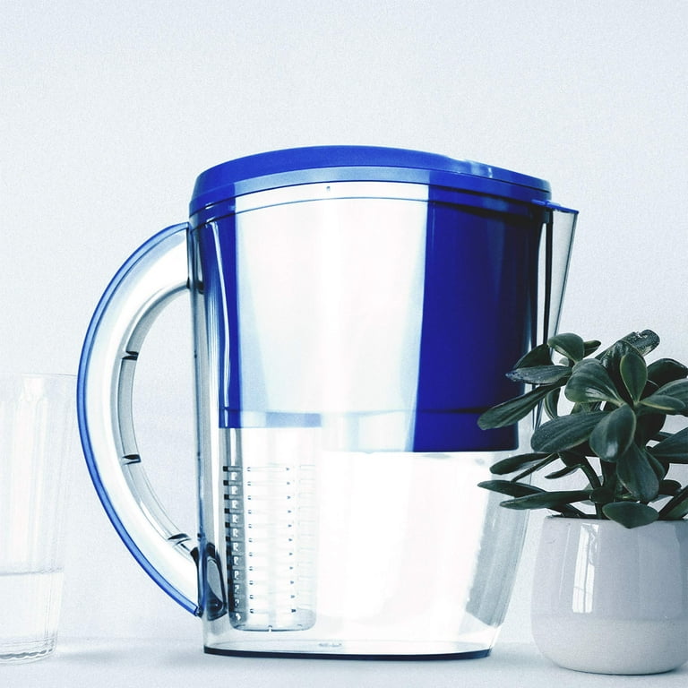 ProOne Water Filter Pitcher with Fruit Infuser, Filtered Water