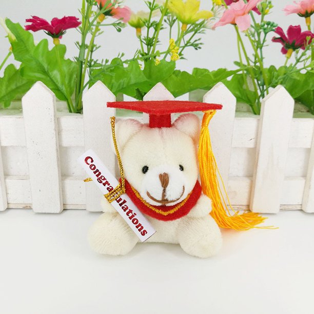 Colgante de regalo de graduación de la congregación de 7 cm, oso de peluche, oso de doctor, oso de peluche de graduación
