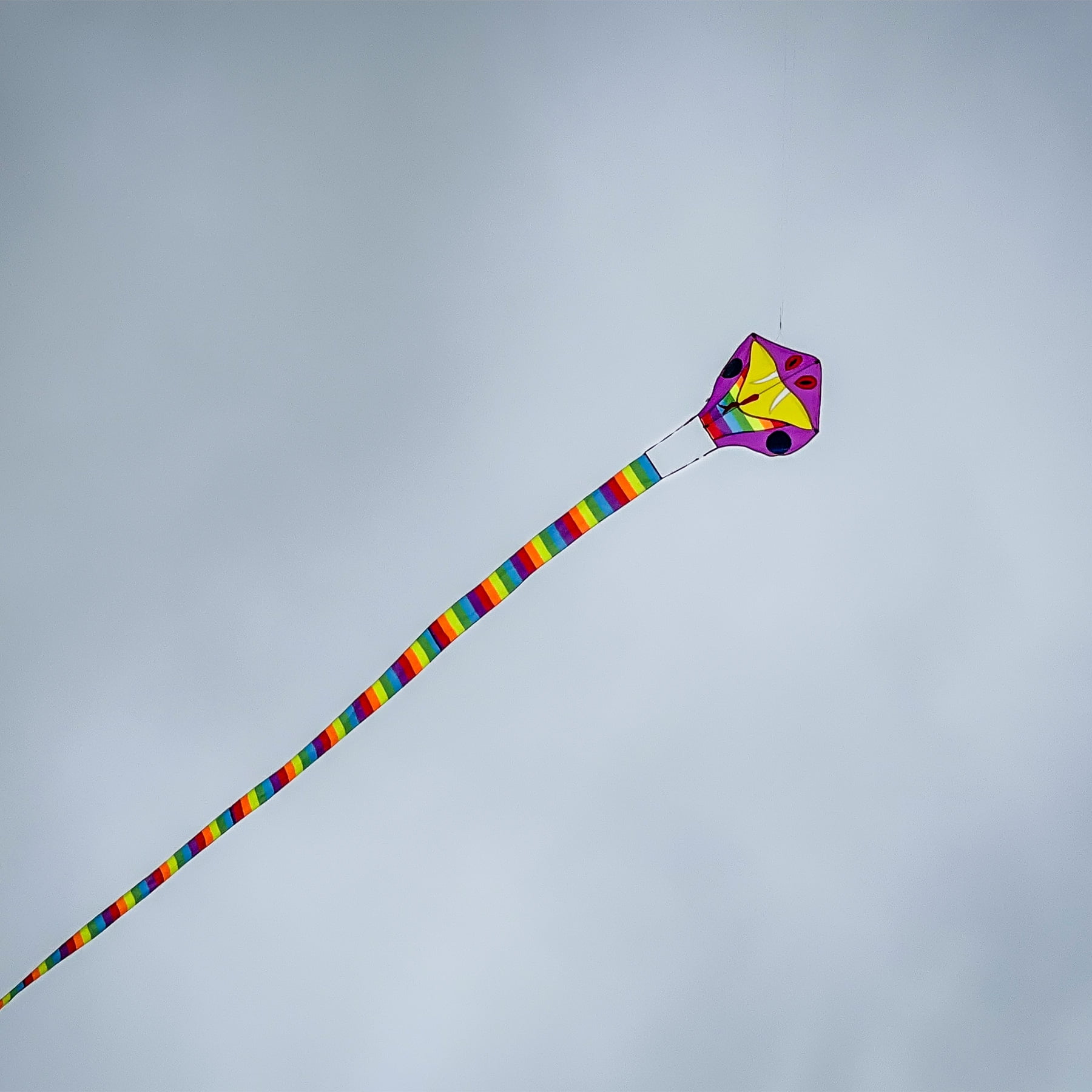 In the Breeze 3020 — Serpent Dragon Kite with 38-Feet Tail — Big, Fun, Colorful Kite for All Ages