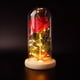 thumbnail image 2 of Rosa Eterna bajo Cúpula de Cristal, Rosa de La Bella y la Bestia de Cristal con Luces LED, Base de Pino - El Mejor Regalo para el Día de la Madre, San Valentín, Cumpleaños, Bodas y Decoración del Hoga, 2 of 5
