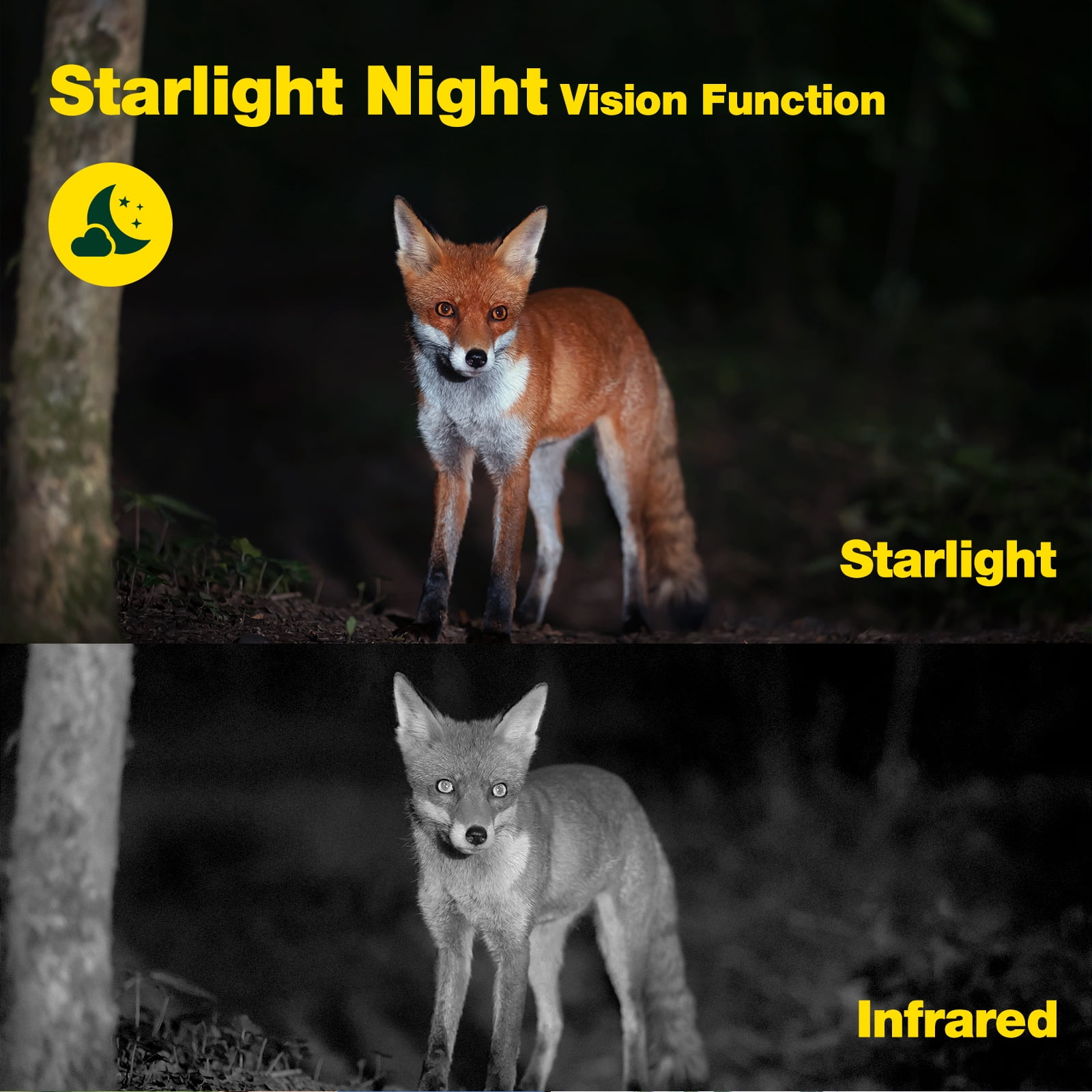 CAMPARK Trail Game Camera with SD Card Native 4K 60MP 30FPS WiFi Starlight Night Vision Dual Lens Bluetooth IMX458 Sensors Waterproof Hunting Deer Camera for Outdoor Wildlife Monitoring