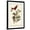 Black Frame, variant on Art.com Summer Red Bird Art Print by John James Audubon, 12" x 18"