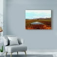 thumbnail image 3 of Trademark Fine Art 'Green Ponds I' Canvas Art by Danielle Harrington, 3 of 4